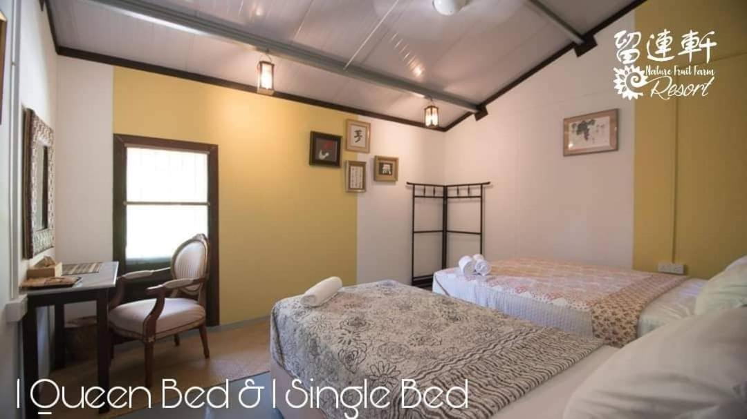 Nature Fruit Farm - Private Estate Balik Pulau Εξωτερικό φωτογραφία